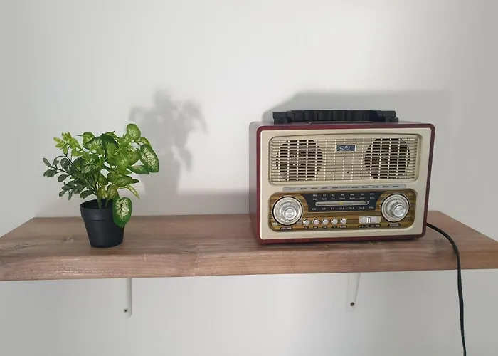 Retro With Heated Pool And Gym For 8 Appartement Murter