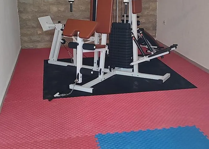 Retro With Heated Pool And Gym For 8 Murter