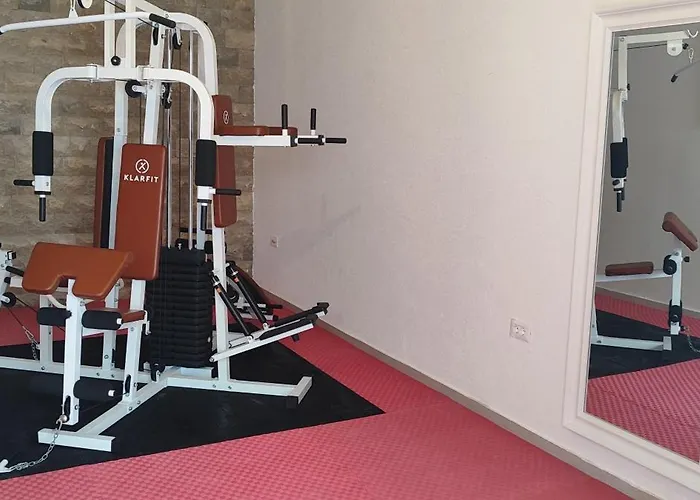 Lägenhet Retro With Heated Pool And Gym For 8 Murter